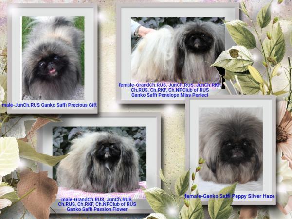 Прикрепленное изображение: post-1010-097903400 1716876855_thumb.jpg